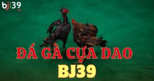 Đá gà cựa dao BJ39 - Trải nghiệm đá gà kịch tính, hấp dẫn